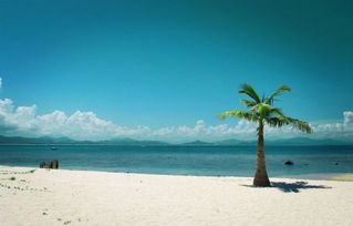 海南 新型旅游产品重环保 旅行社发展谋升级